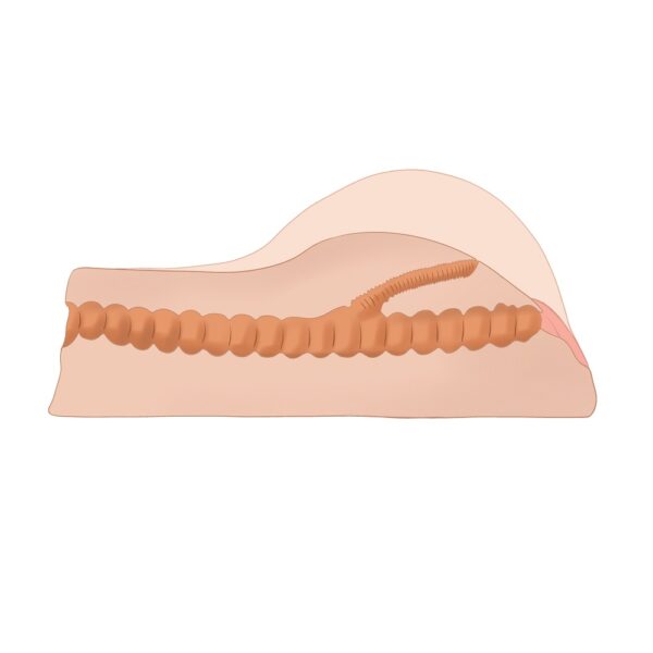 Loving Joy Ava Vibrating Realistic Vagina and Ass Masturbator - image number 3