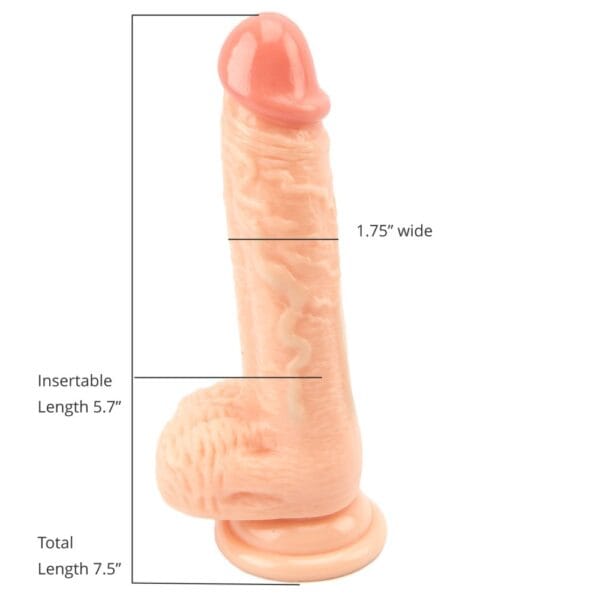 Loving Joy Realistic Suction Cup Dildo with Balls 7.5 Inch – image number 3