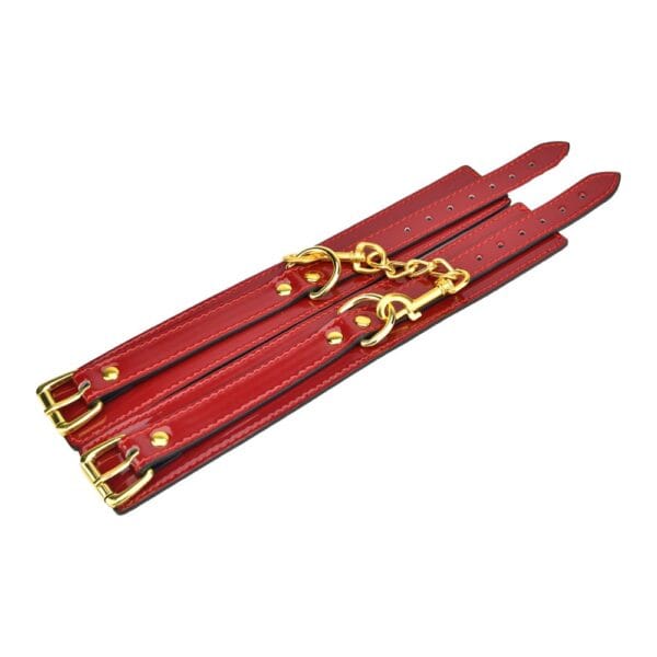 Bound to Please Red Ankle Cuffs – image number 1