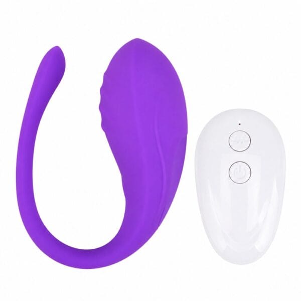 Loving Joy Remote Control 10 Function Love Egg Vibrator – image number 1