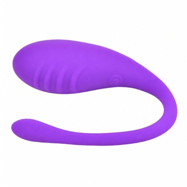 Loving Joy Remote Control 10 Function Love Egg Vibrator – image number 2