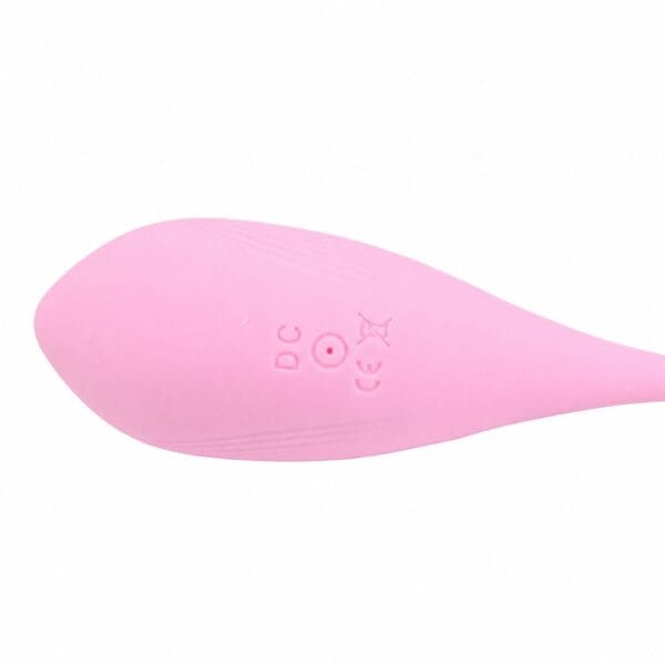 Loving Joy Remote Control 10 Function Vibrating Egg – image number 3