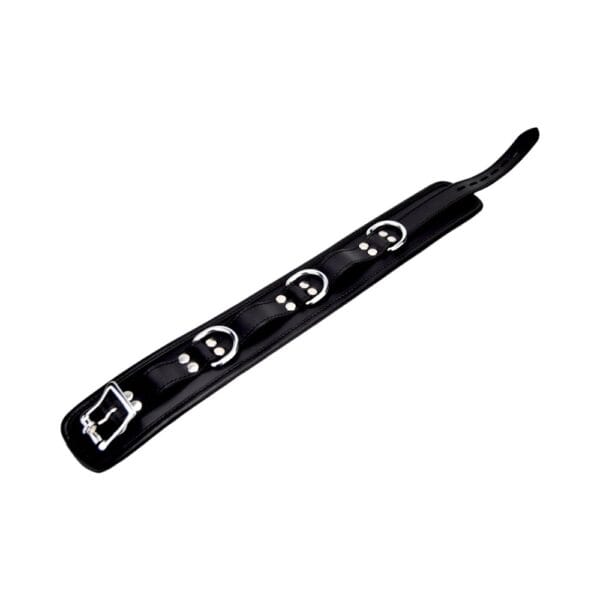 Bound Padded Leather Collar with 3 D-Rings – image number 3