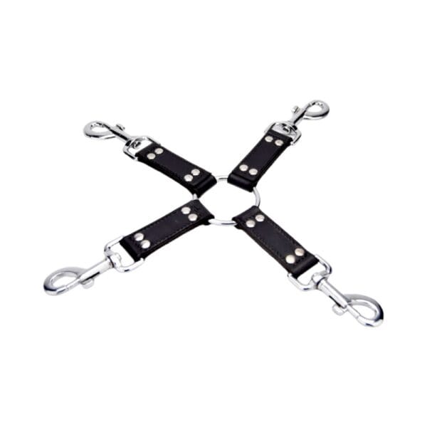 Bound Leather 4 Way Hog Tie – image number 1