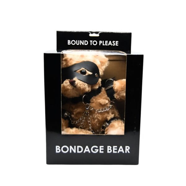 Bound to Please Bondage Bear Novelty Gift – image number 5