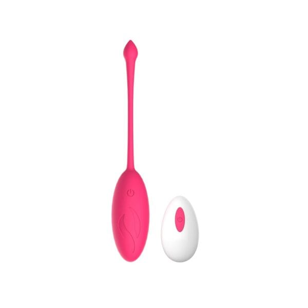 MINA Astral 10 Function Remote Control Love Egg Vibrator – image number 1