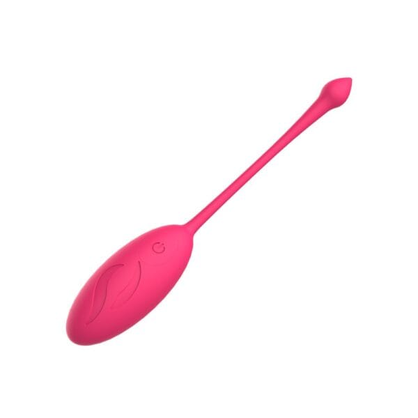 MINA Astral 10 Function Remote Control Love Egg Vibrator – image number 2