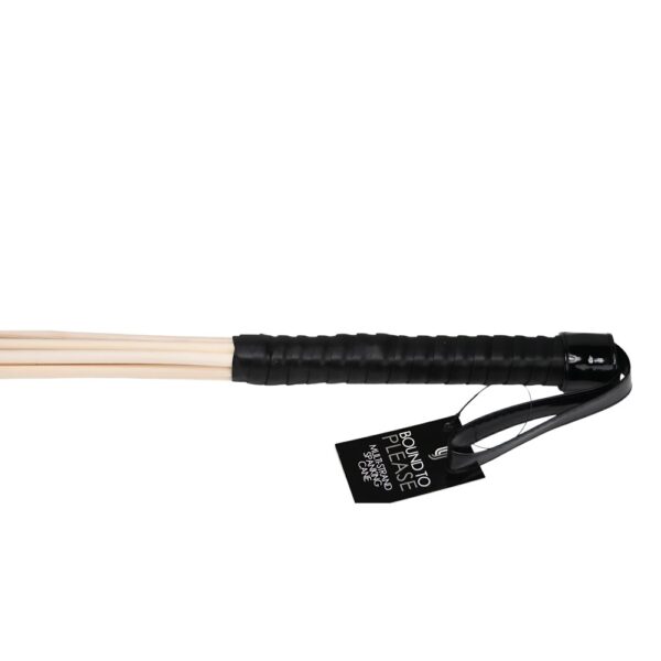 Bound to Please Multi-Strand Spanking Cane – image number 3