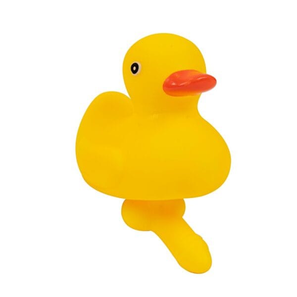 Spencer & Fleetwood Duck With a Dick Novelty Gift – image number 1