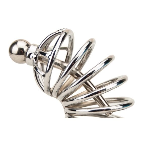 Impound Corkscrew Male Chastity Device With Penis Plug – image number 4