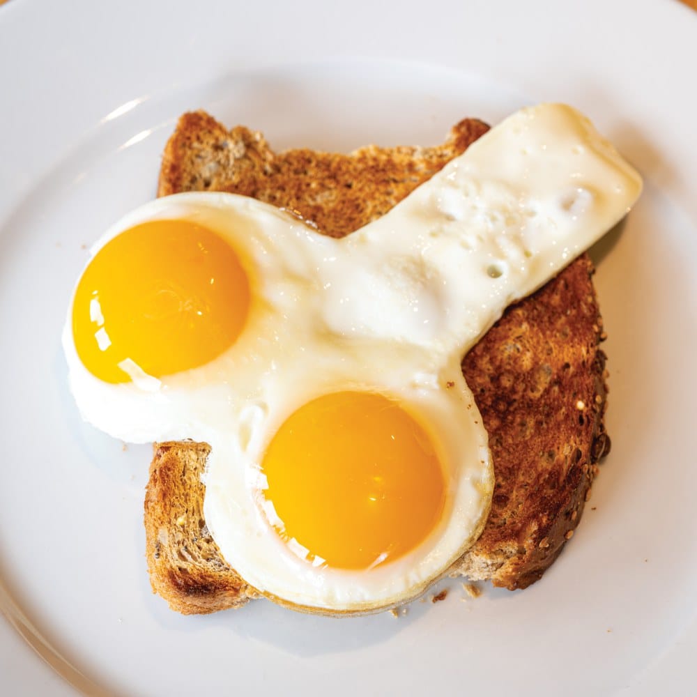 Spencer & Fleetwood Willie Egg Fryer Novelty Gift – image number 3